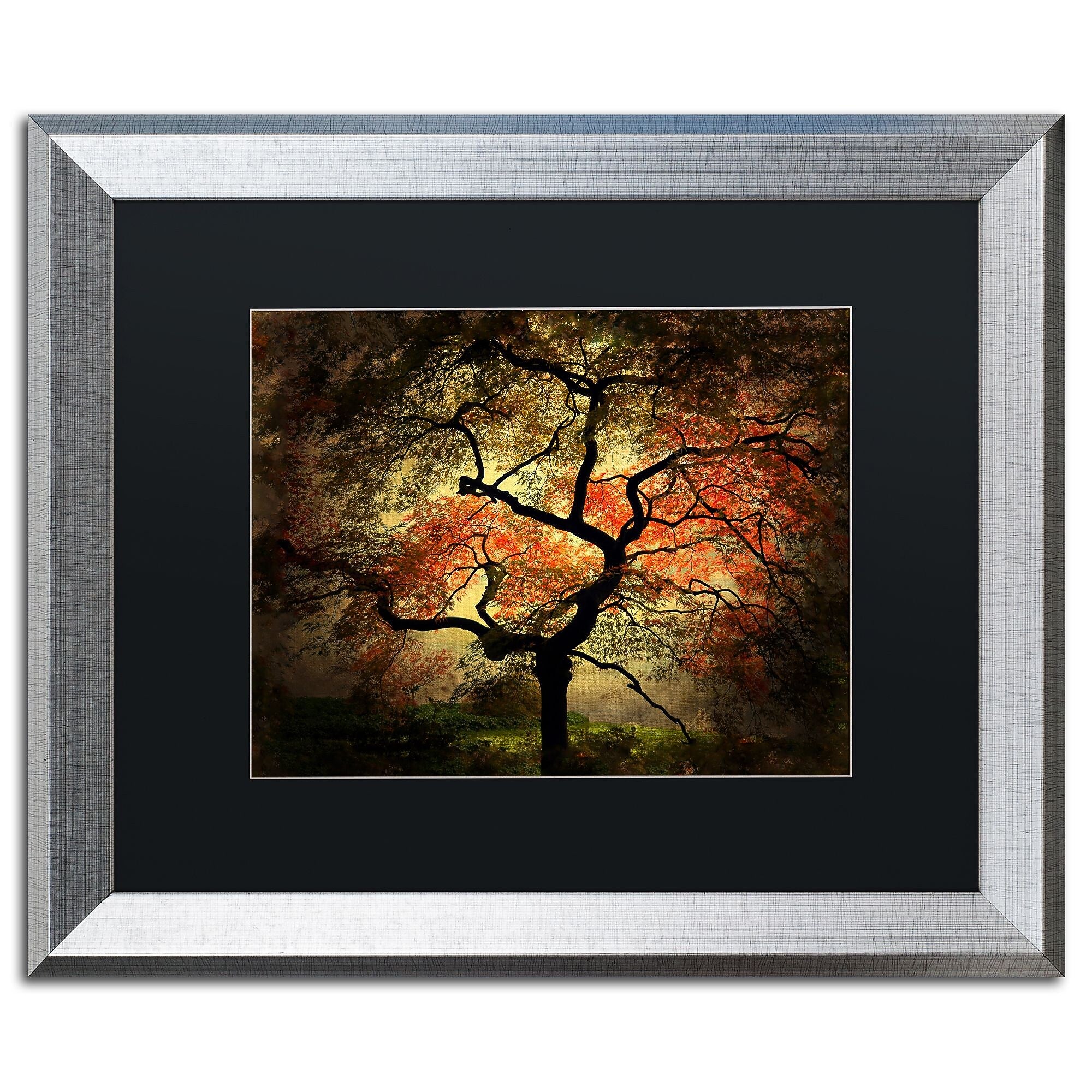 Trademark Fine Art ''Japanese'' by Philippe Sainte-Laudy 16" x 20" Black Matted Silver Frame (PSL020-S1620BMF)