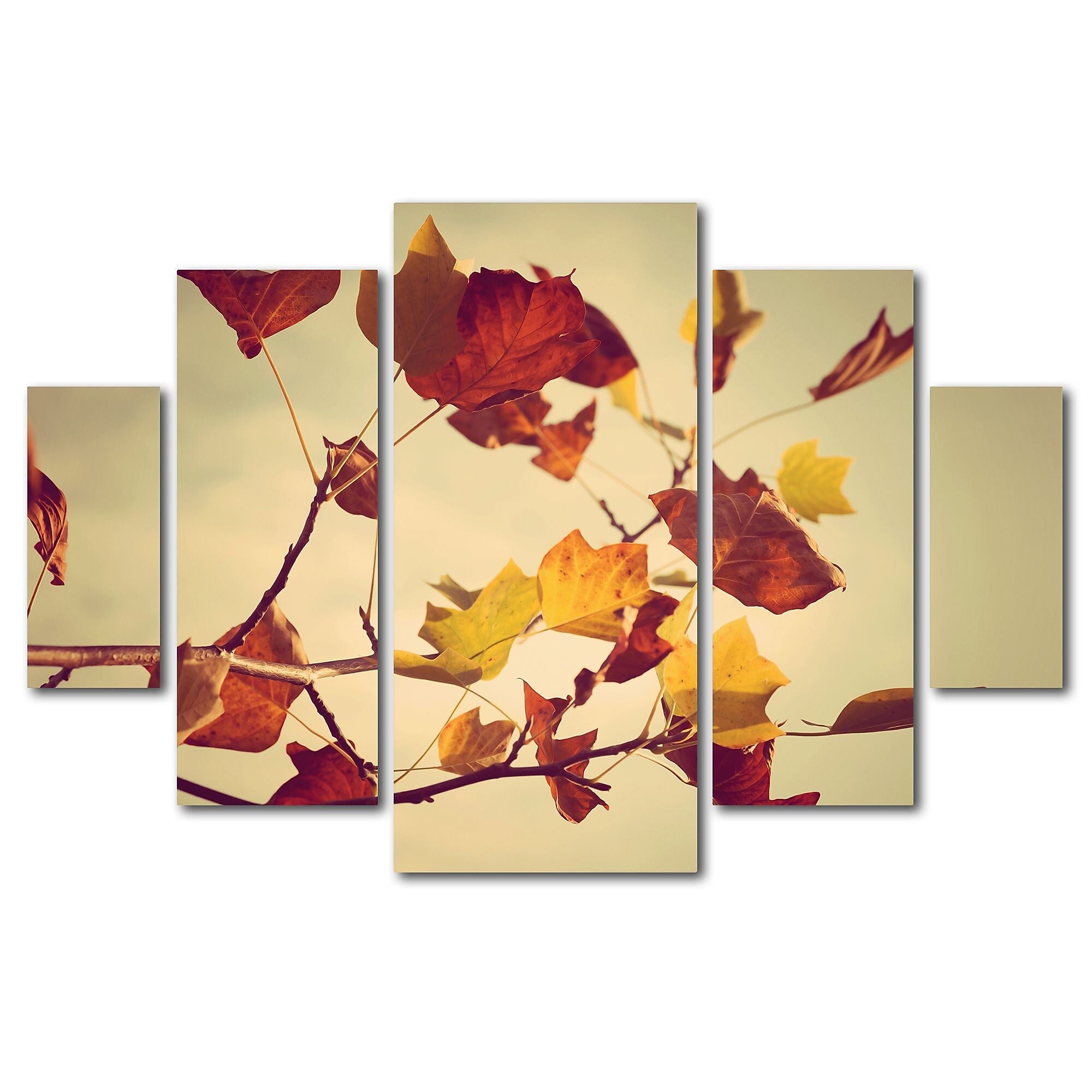 Trademark Fine Art ''Still Fall'' by Philippe Sainte-Laudy 3.3' x 4.8' Multi Panel Art Set (PSL0416-P5-SET)