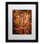 Trademark Fine Art ''Autumn Whispers'' by Philippe Sainte-Laudy 16" x 20" White Matted Black Frame (PSL0421-B1620MF)