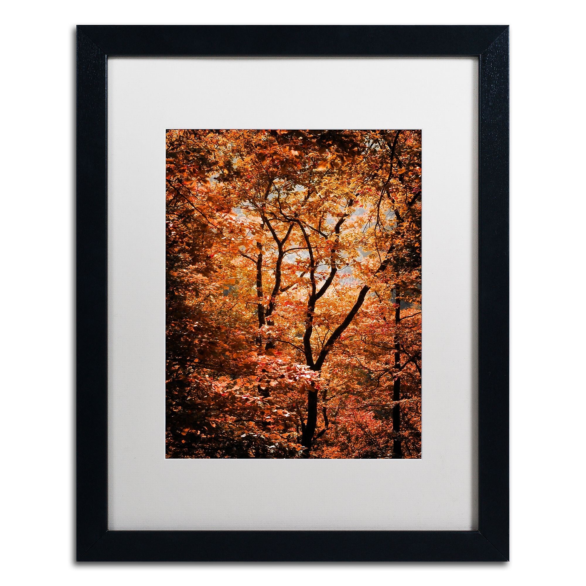 Trademark Fine Art ''Autumn Whispers'' by Philippe Sainte-Laudy 16" x 20" White Matted Black Frame (PSL0421-B1620MF)