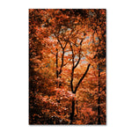 Trademark Fine Art ''Autumn Whispers'' by Philippe Sainte-Laudy 12" x 19" Canvas Art (PSL0421-C1219GG)