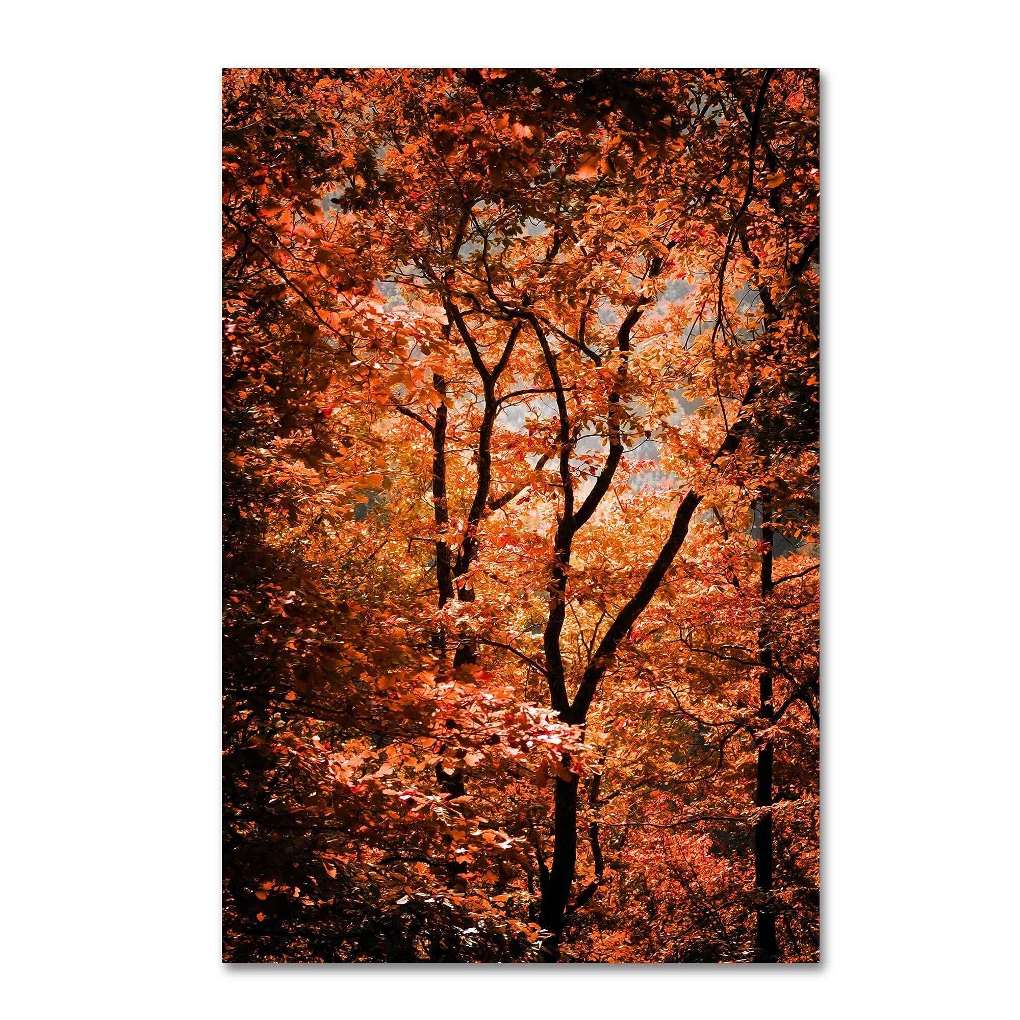 Trademark Fine Art ''Autumn Whispers'' by Philippe Sainte-Laudy 12" x 19" Canvas Art (PSL0421-C1219GG)