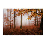 Trademark Fine Art ''Breathe Me'' by Philippe Sainte-Laudy 30" x 47" Canvas Art (PSL0422-C3047GG)