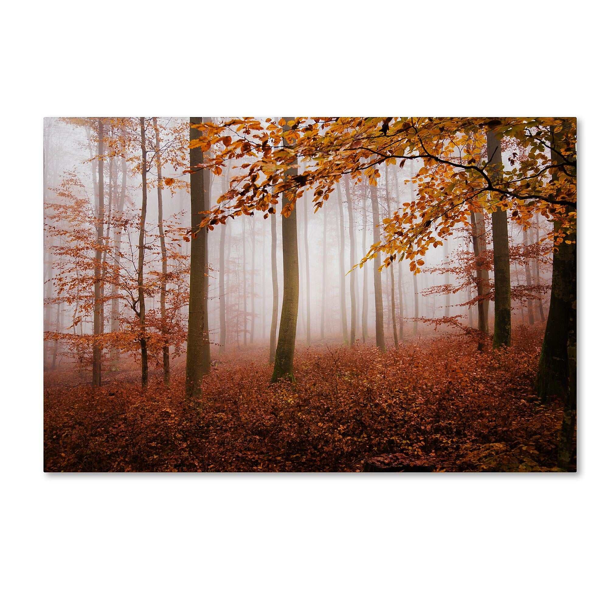 Trademark Fine Art ''Breathe Me'' by Philippe Sainte-Laudy 30" x 47" Canvas Art (PSL0422-C3047GG)