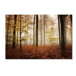 Trademark Fine Art ''Calmness'' by Philippe Sainte-Laudy 12" x 19" Canvas Art (PSL0424-C1219GG)