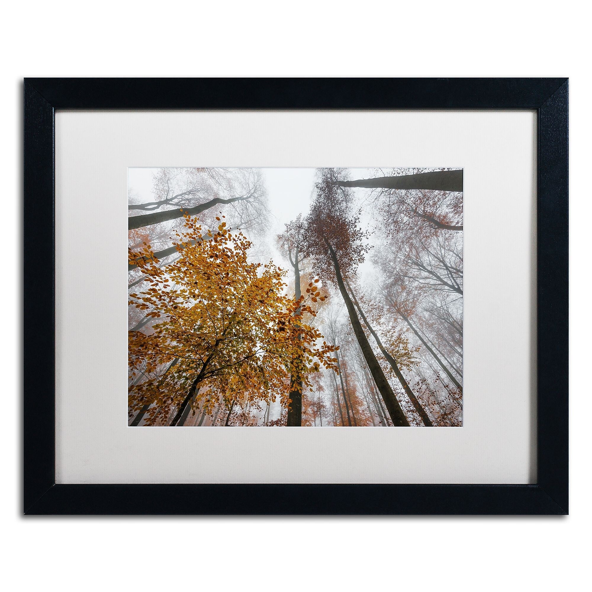 Trademark Fine Art ''Daydreamer'' by Philippe Sainte-Laudy 16" x 20" White Matted Black Frame (PSL0425-B1620MF)