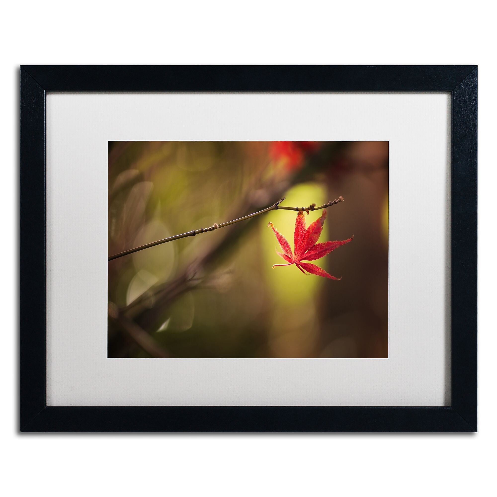 Trademark Fine Art ''Don't Give Up'' by Philippe Sainte-Laudy 16" x 20" White Matted Black Frame (PSL0427-B1620MF)