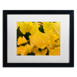 Trademark Fine Art ''Ginkgo in the Rain'' by Philippe Sainte-Laudy 16" x 20" White Matted Black Frame (PSL0431-B1620MF)