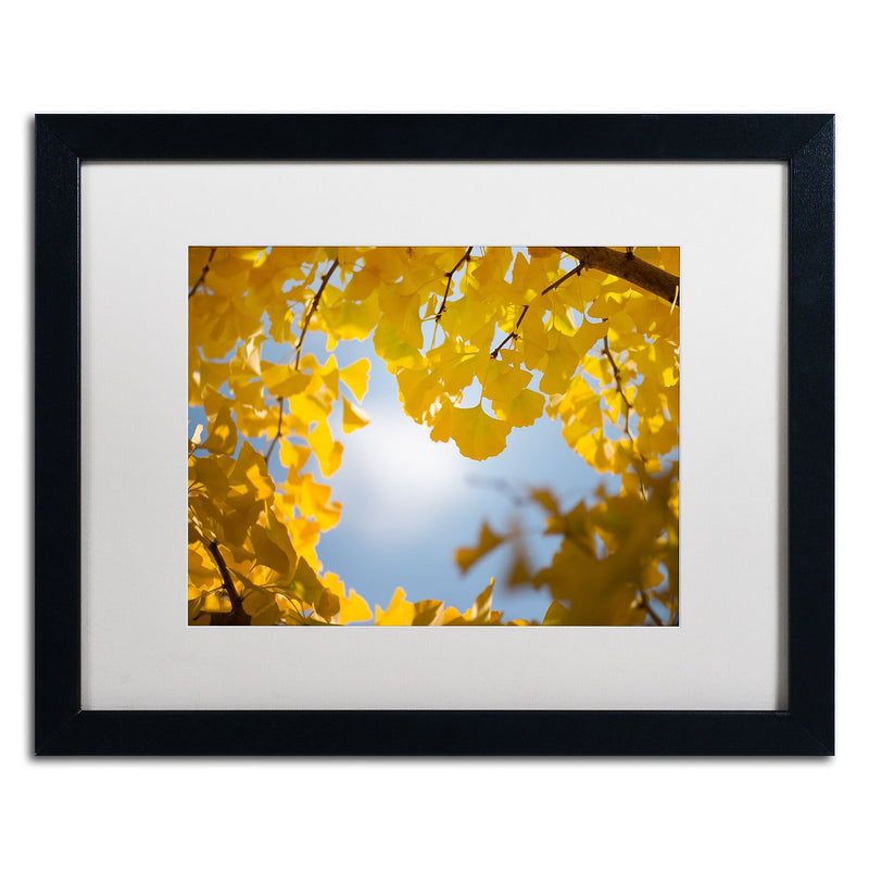 Trademark Fine Art ''Ginkgo Leaves in Autumn'' by Philippe Sainte-Laudy 16" x 20" White Matted Black Frame (PSL0432-B1620MF)