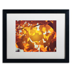 Trademark Fine Art ''Ginkgo Leaves'' by Philippe Sainte-Laudy 16" x 20" White Matted Black Frame (PSL0433-B1620MF)