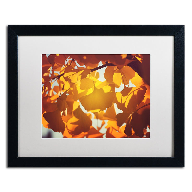 Trademark Fine Art ''Ginkgo Leaves'' by Philippe Sainte-Laudy 16" x 20" White Matted Black Frame (PSL0433-B1620MF)