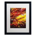 Trademark Fine Art ''I Believe'' by Philippe Sainte-Laudy 16" x 20" White Matted Black Frame (PSL0435-B1620MF)