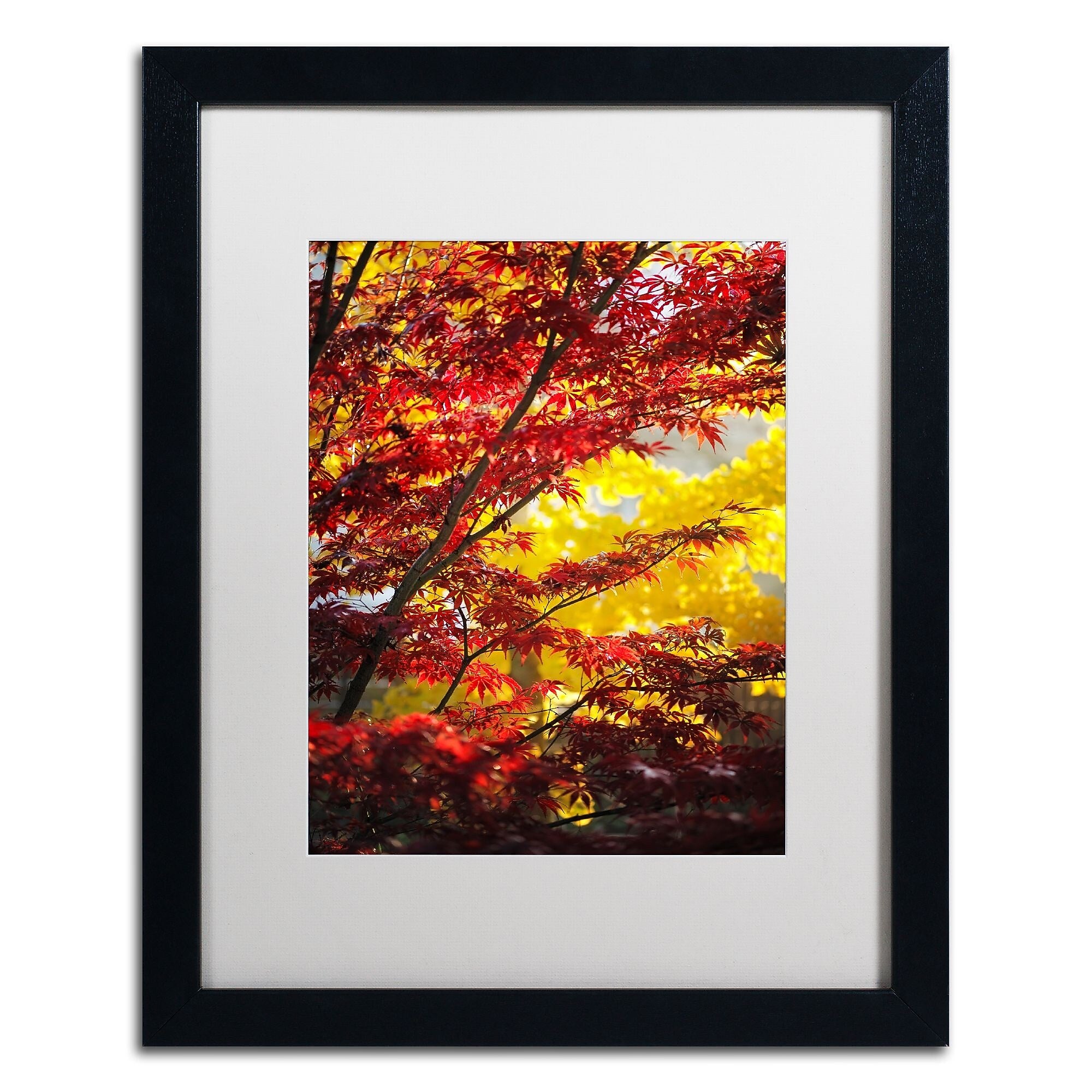 Trademark Fine Art ''I Believe'' by Philippe Sainte-Laudy 16" x 20" White Matted Black Frame (PSL0435-B1620MF)