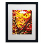 Trademark Fine Art ''Morning Jive'' by Philippe Sainte-Laudy 16" x 20" White Matted Black Frame (PSL0439-B1620MF)