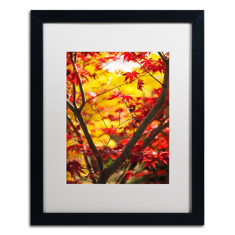 Trademark Fine Art ''Morning Jive'' by Philippe Sainte-Laudy 16" x 20" White Matted Black Frame (PSL0439-B1620MF)