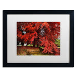 Trademark Fine Art ''October'' by Philippe Sainte-Laudy 16" x 20" White Matted Black Frame (PSL0441-B1620MF)