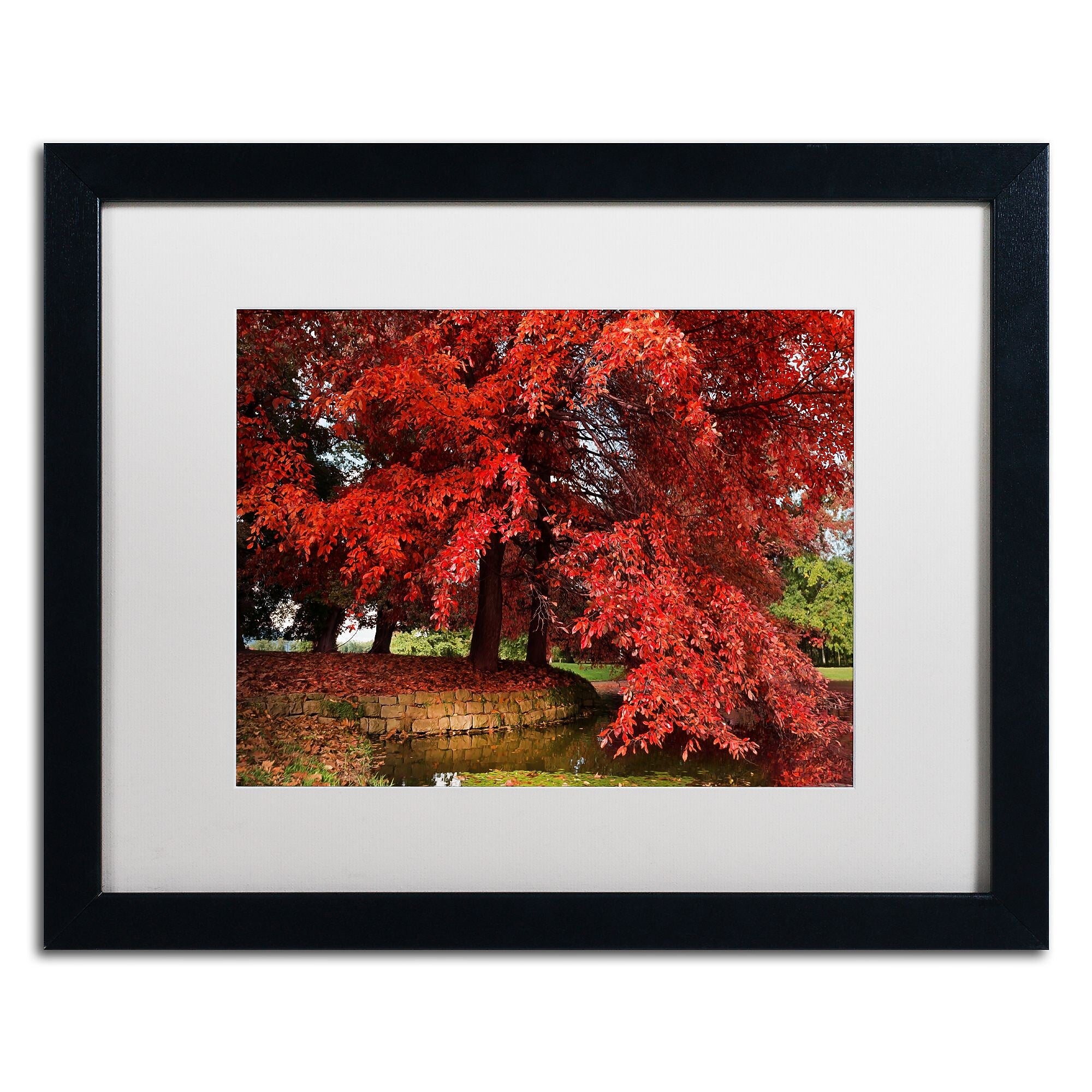 Trademark Fine Art ''October'' by Philippe Sainte-Laudy 16" x 20" White Matted Black Frame (PSL0441-B1620MF)
