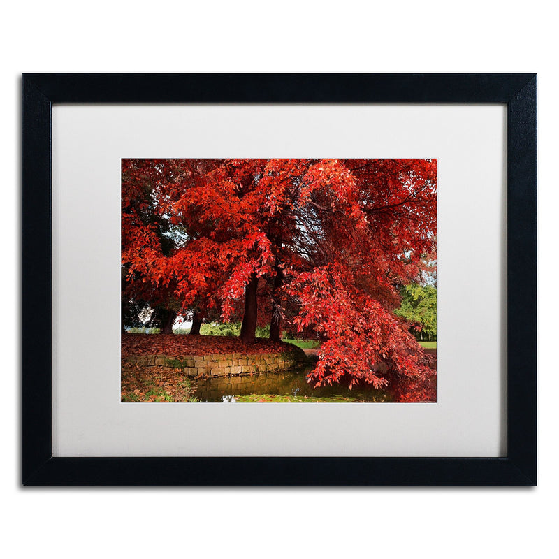 Trademark Fine Art ''October'' by Philippe Sainte-Laudy 16" x 20" White Matted Black Frame (PSL0441-B1620MF)