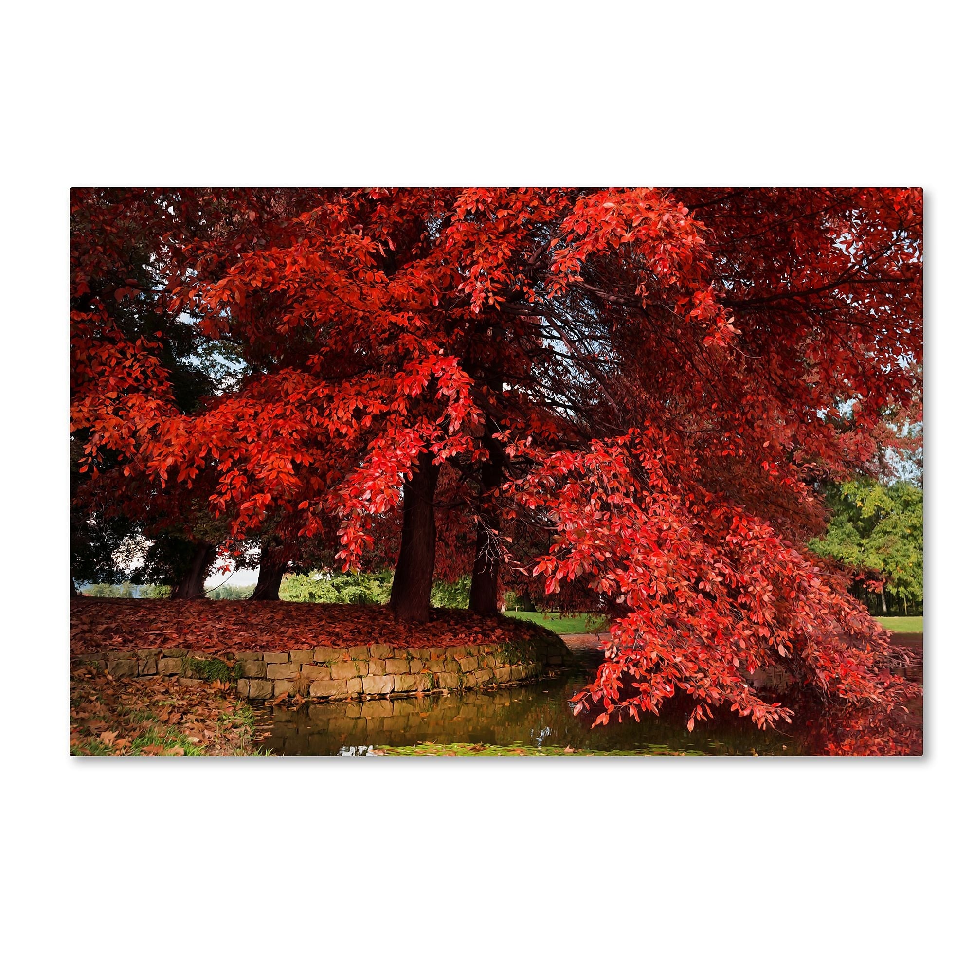 Trademark Fine Art ''October'' by Philippe Sainte-Laudy 12" x 19" Canvas Art (PSL0441-C1219GG)