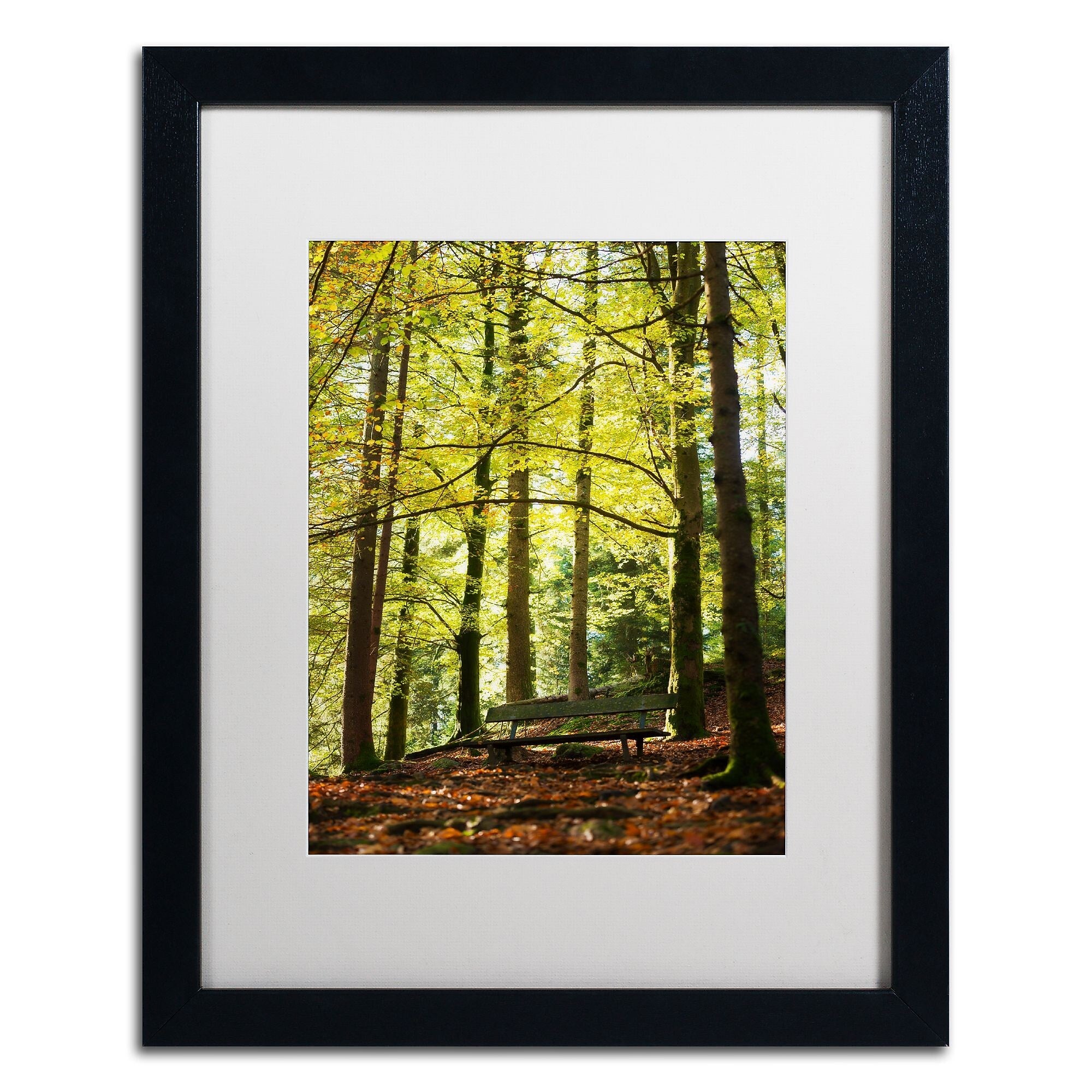 Trademark Fine Art ''Pause'' by Philippe Sainte-Laudy 16" x 20" White Matted Black Frame (PSL0442-B1620MF)