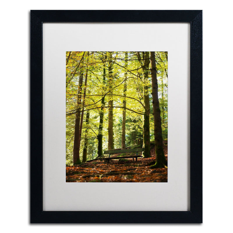 Trademark Fine Art ''Pause'' by Philippe Sainte-Laudy 16" x 20" White Matted Black Frame (PSL0442-B1620MF)