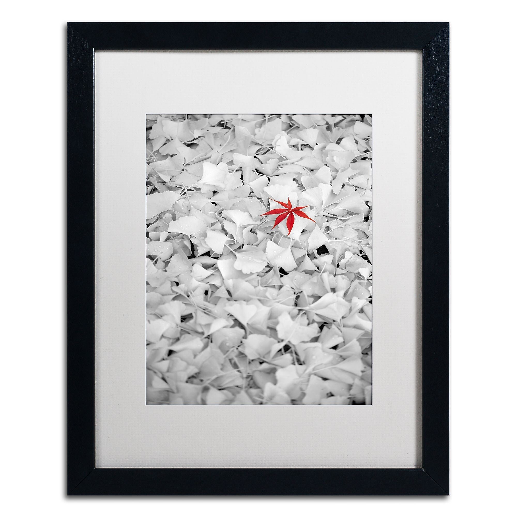 Trademark Fine Art ''Rebel Leaf'' by Philippe Sainte-Laudy 16" x 20" White Matted Black Frame (PSL0443-B1620MF)