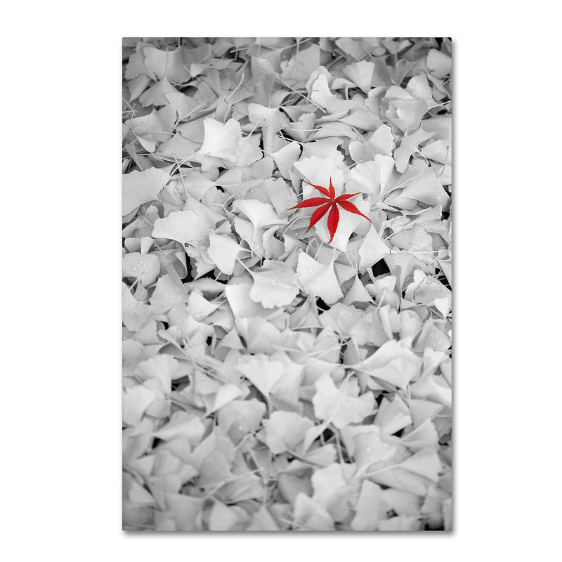 Trademark Fine Art ''Rebel Leaf'' by Philippe Sainte-Laudy 30" x 47" Canvas Art (PSL0443-C3047GG)