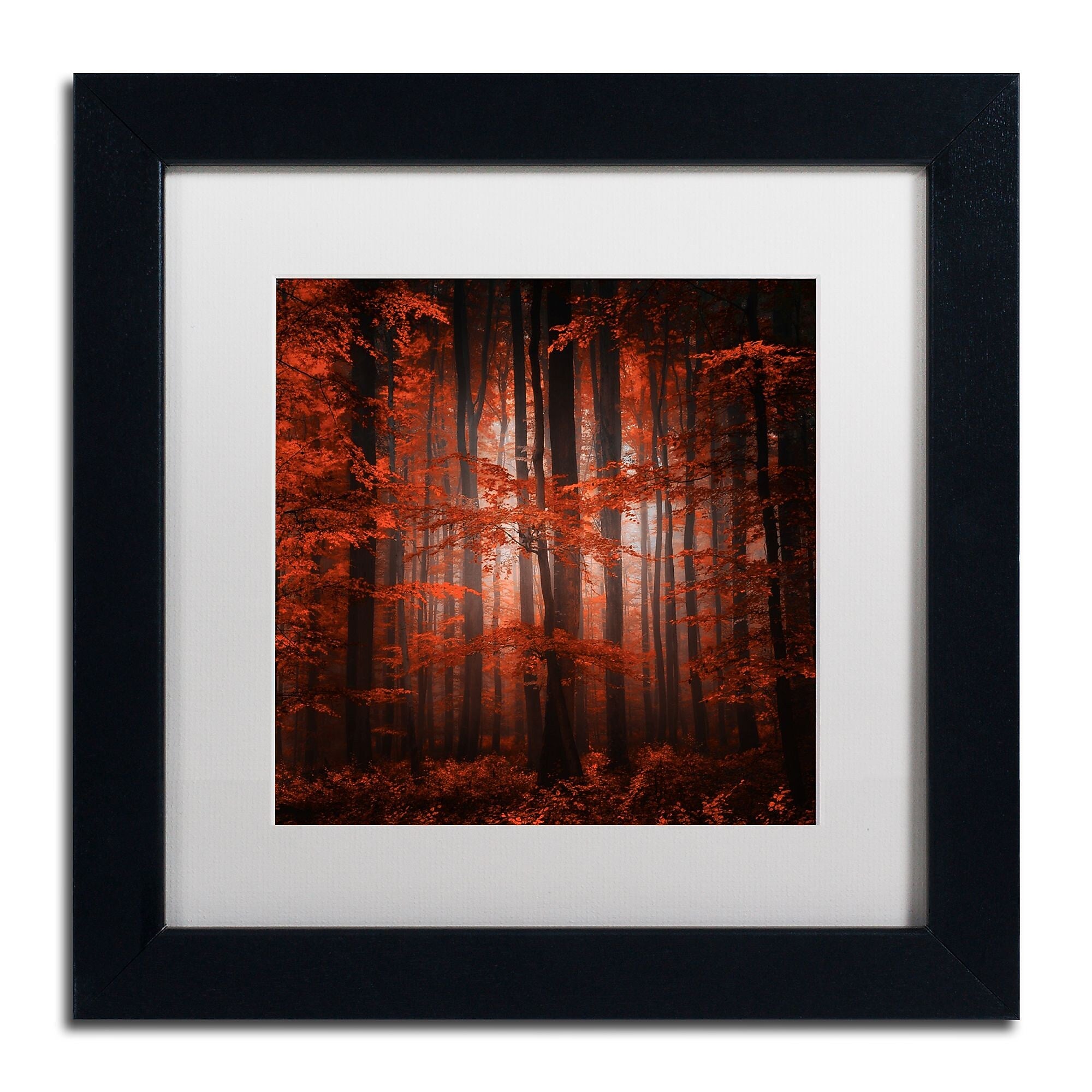 Trademark Fine Art ''Red Parallel Universe'' by Philippe Sainte-Laudy 11" x 11" White Matted Black Frame (PSL0444-B1111MF)