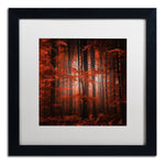 Trademark Fine Art ''Red Parallel Universe'' by Philippe Sainte-Laudy 16" x 16" White Matted Black Frame (PSL0444-B1616MF)