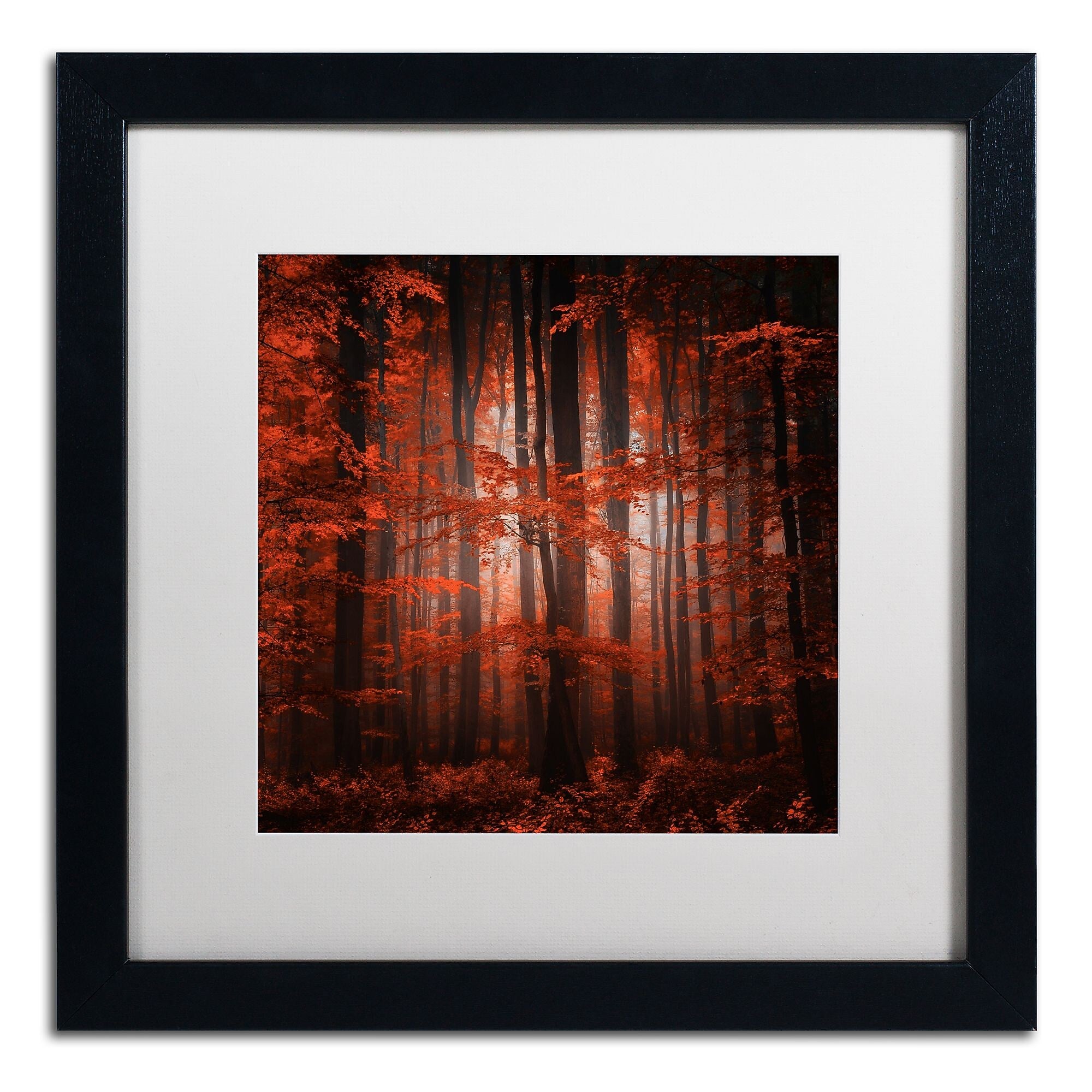 Trademark Fine Art ''Red Parallel Universe'' by Philippe Sainte-Laudy 16" x 16" White Matted Black Frame (PSL0444-B1616MF)