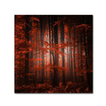 Trademark Fine Art ''Red Parallel Universe'' by Philippe Sainte-Laudy 18" x 18" Canvas Art (PSL0444-C1818GG)