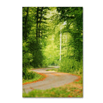 Trademark Fine Art ''S Road'' by Philippe Sainte-Laudy 12" x 19" Canvas Art (PSL0447-C1219GG)