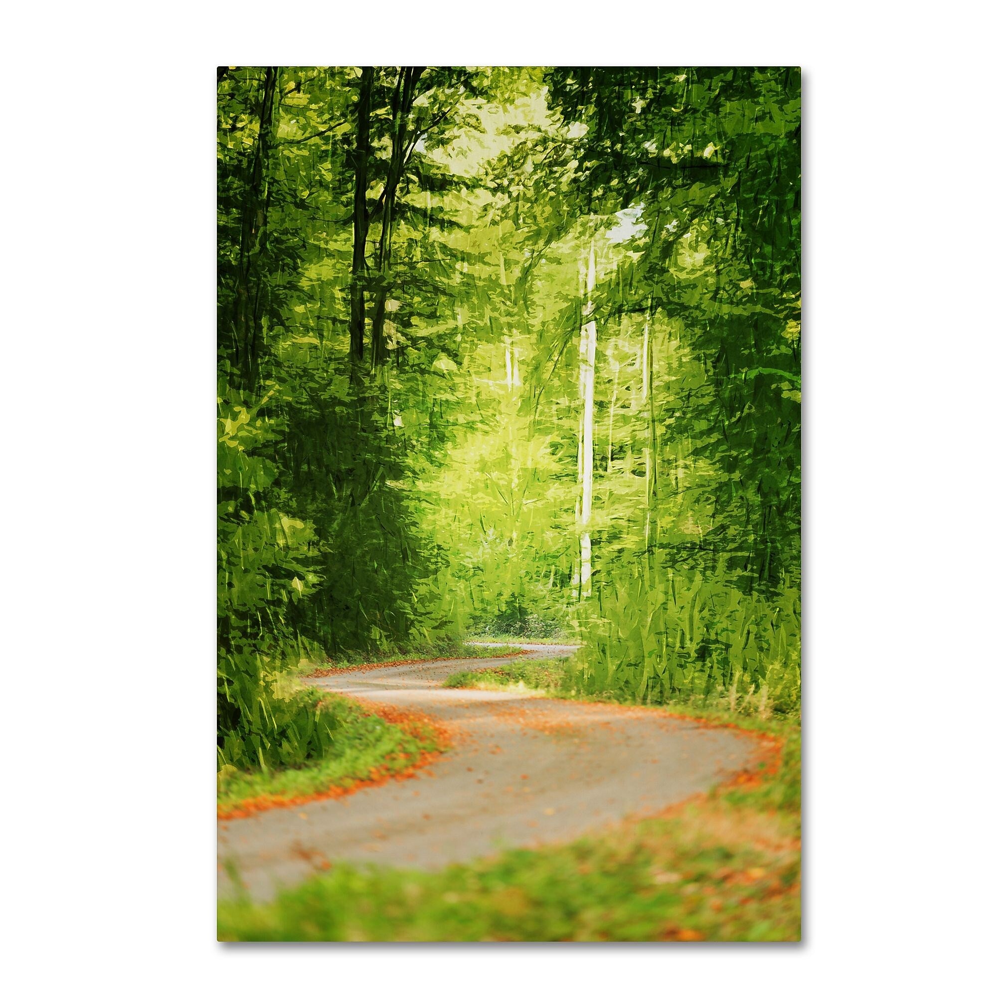 Trademark Fine Art ''S Road'' by Philippe Sainte-Laudy 12" x 19" Canvas Art (PSL0447-C1219GG)