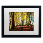Trademark Fine Art ''The Autumn Bench'' by Philippe Sainte-Laudy 16" x 20" White Matted Black Frame (PSL0451-B1620MF)