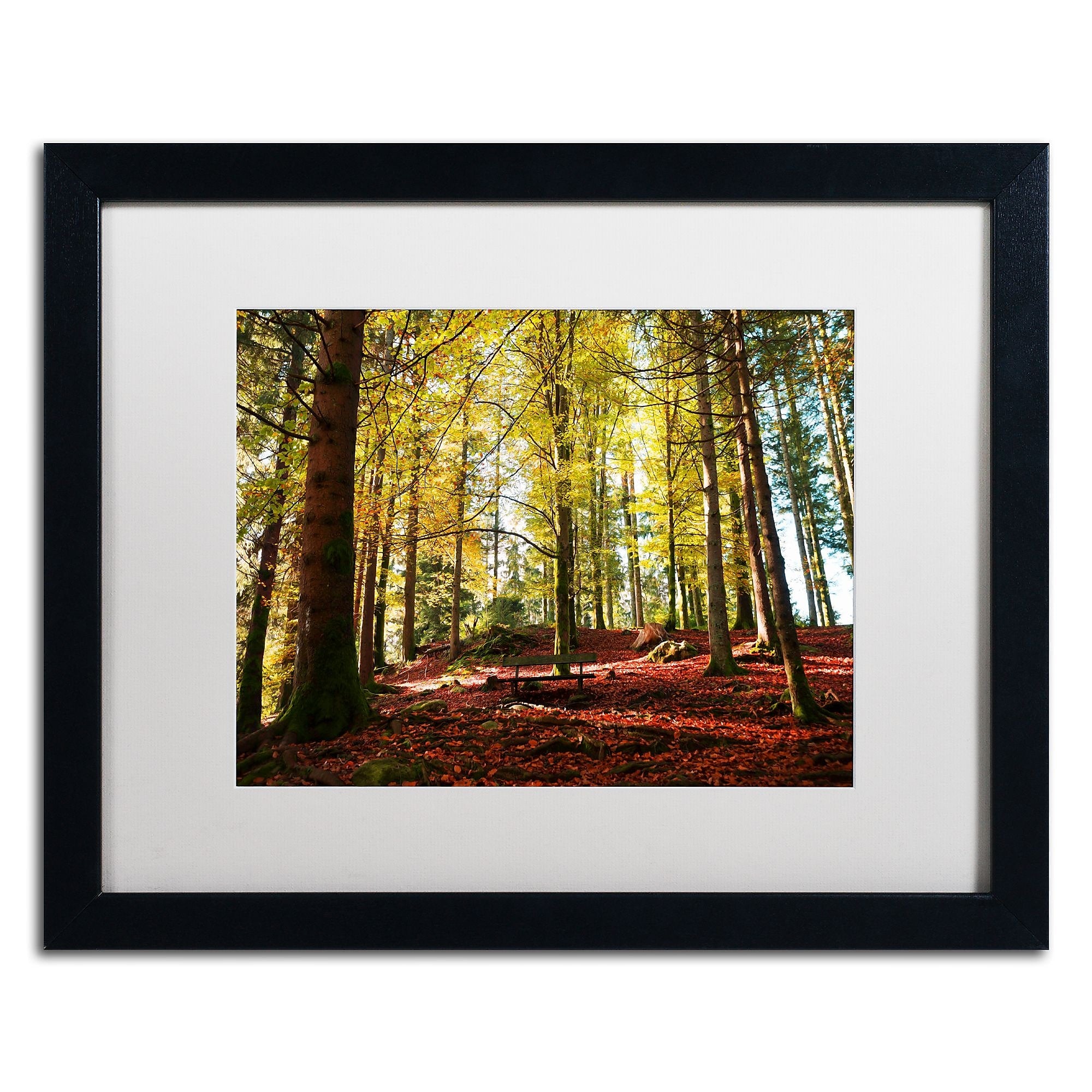 Trademark Fine Art ''The Autumn Bench'' by Philippe Sainte-Laudy 16" x 20" White Matted Black Frame (PSL0451-B1620MF)