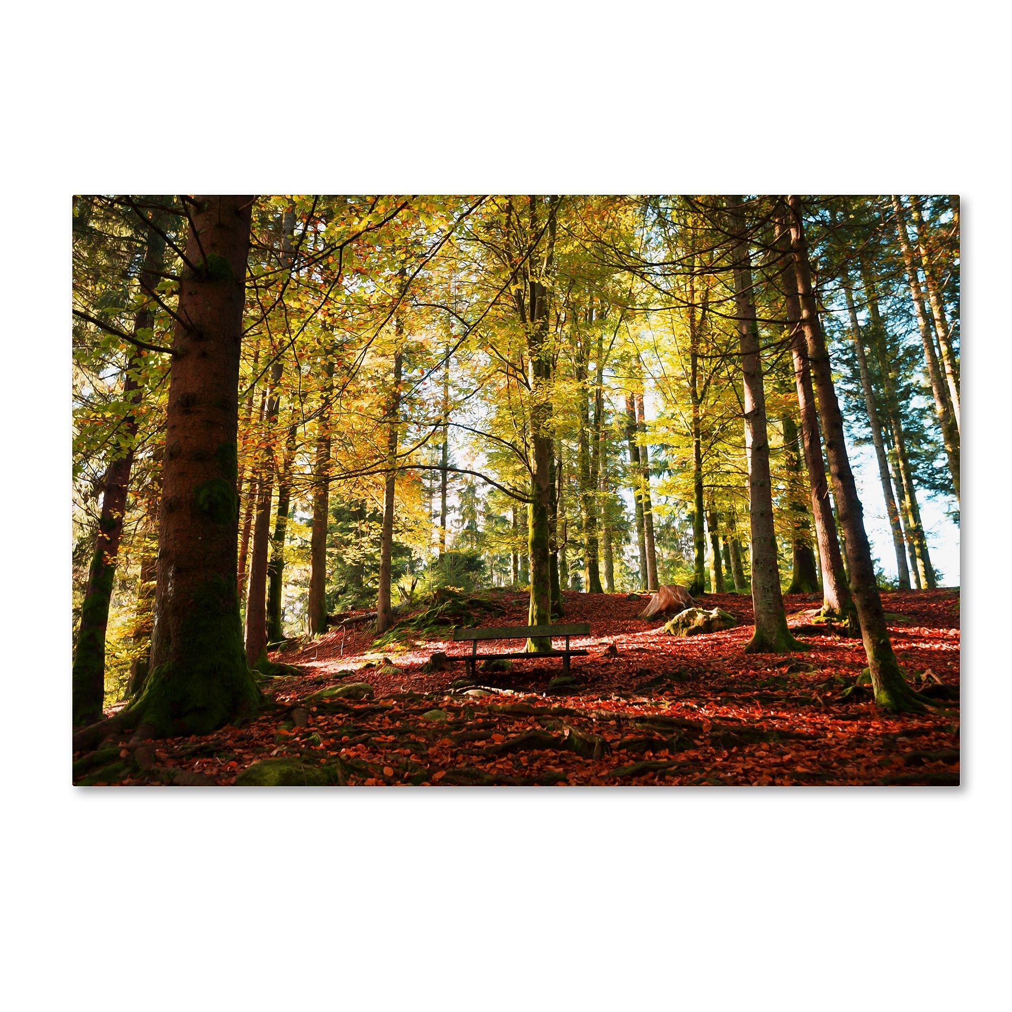 Trademark Fine Art ''The Autumn Bench'' by Philippe Sainte-Laudy 12" x 19" Canvas Art (PSL0451-C1219GG)