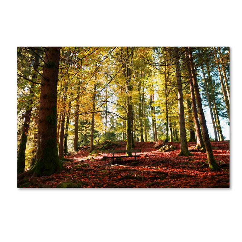 Trademark Fine Art ''The Autumn Bench'' by Philippe Sainte-Laudy 12" x 19" Canvas Art (PSL0451-C1219GG)