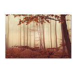 Trademark Fine Art ''The Last of Fall'' by Philippe Sainte-Laudy 30" x 47" Canvas Art (PSL0453-C3047GG)