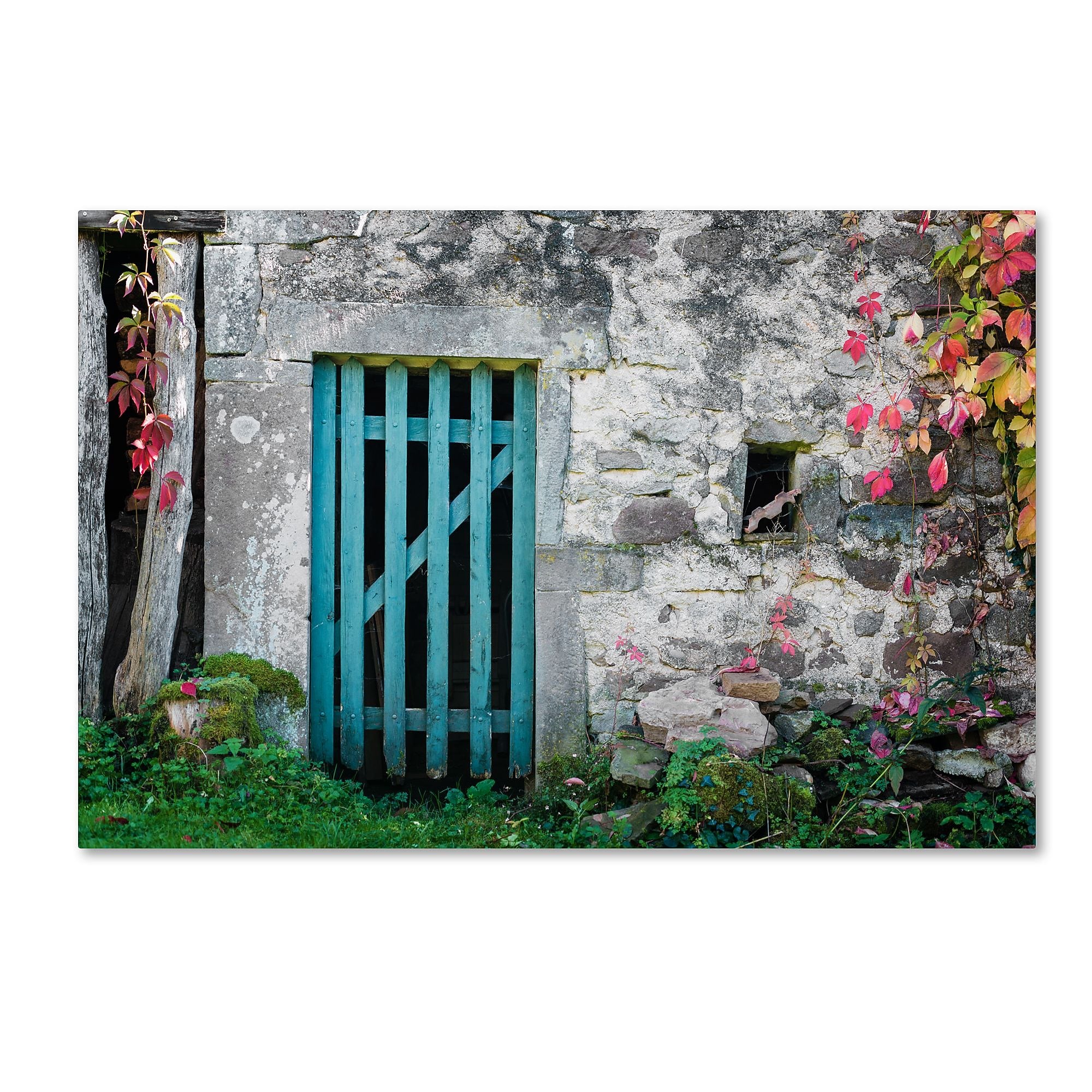 Trademark Fine Art ''The Old Wooden Door'' by Philippe Sainte-Laudy 30" x 47" Canvas Art (PSL0455-C3047GG)