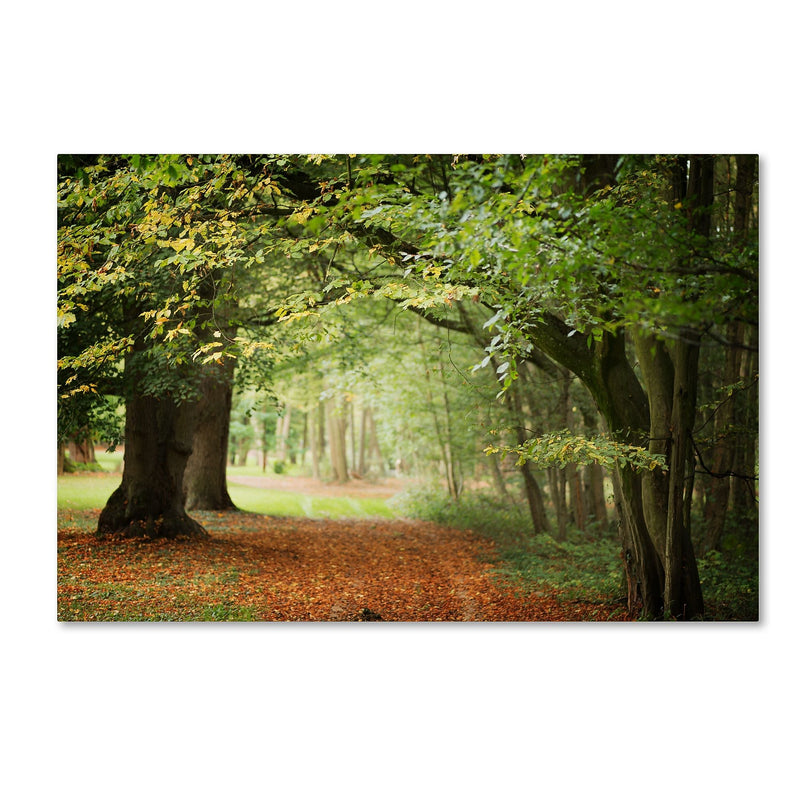 Trademark Fine Art ''Through the Woods'' by Philippe Sainte-Laudy 12" x 19" Canvas Art (PSL0456-C1219GG)