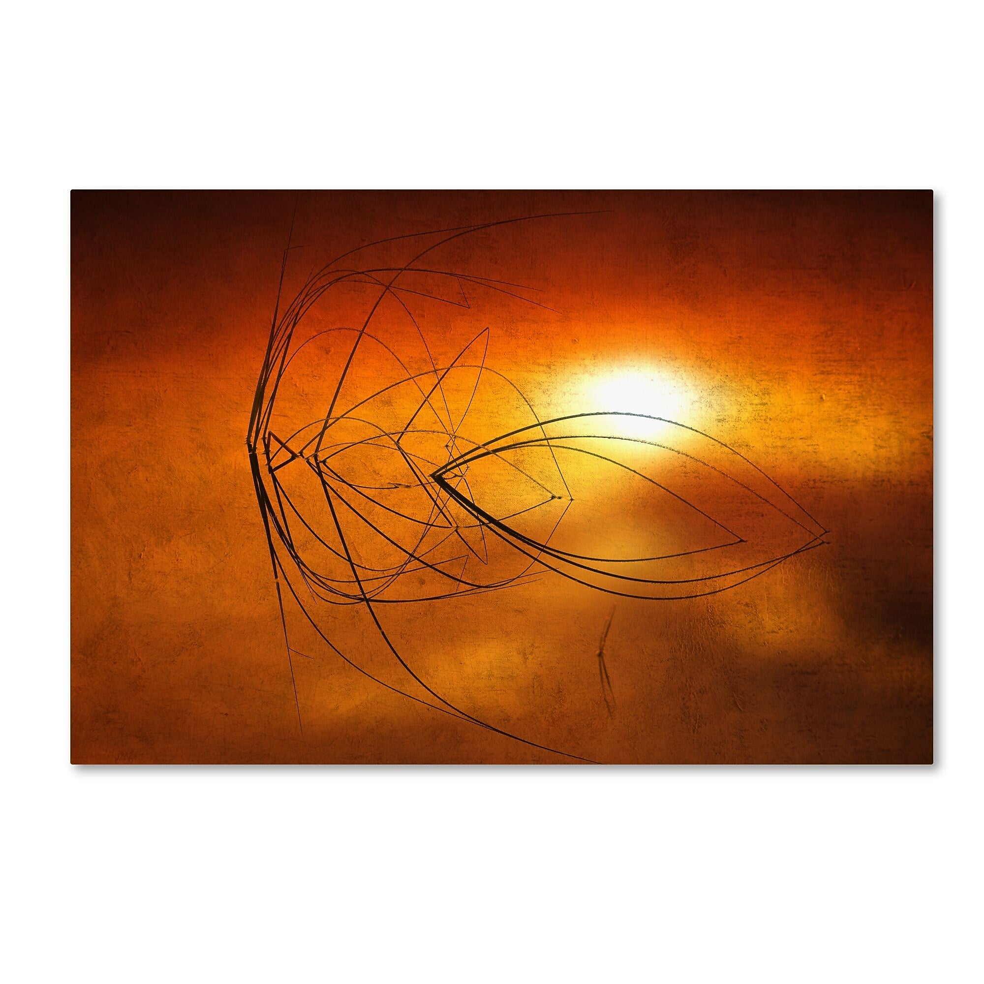 Trademark Fine Art ''Touch of Last Light'' by Philippe Sainte-Laudy 12" x 19" Canvas Art (PSL0457-C1219GG)