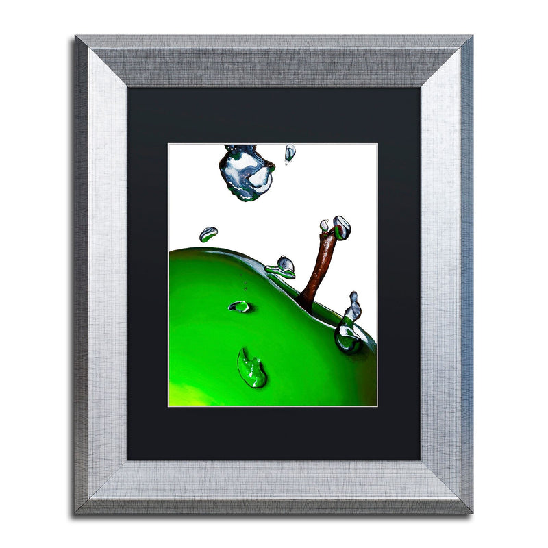 Trademark Fine Art ''Granny Splash II'' by Roderick Stevens 11" x 14" Black Matted Silver Frame (RS020-S1114BMF)