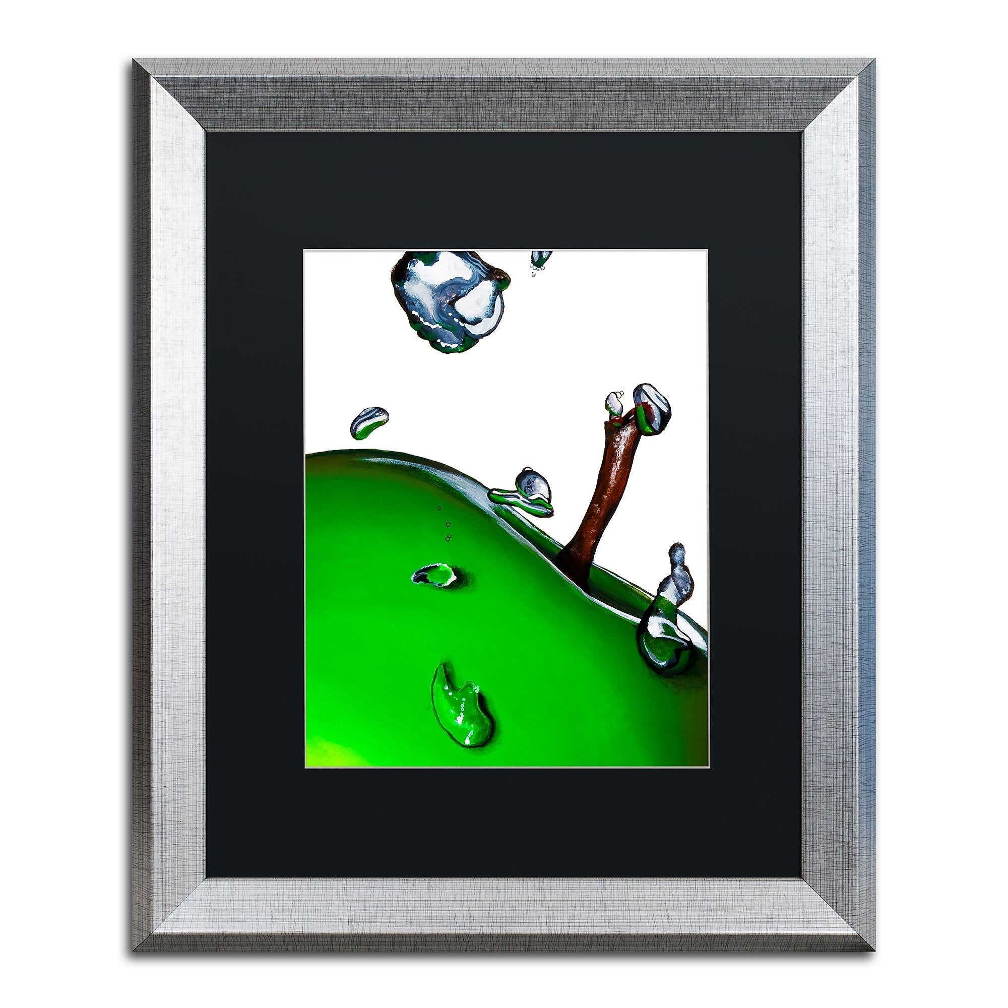 Trademark Fine Art ''Granny Splash II'' by Roderick Stevens 16" x 20" Black Matted Silver Frame (RS020-S1620BMF)