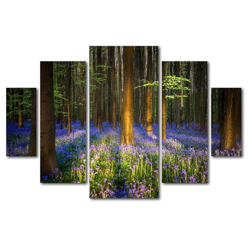 Trademark Fine Art ''Mystical Forest'' by Mathieu Rivrin 3.3' x 4.8' Multi Panel Art Set (RV0021-P5-SET)