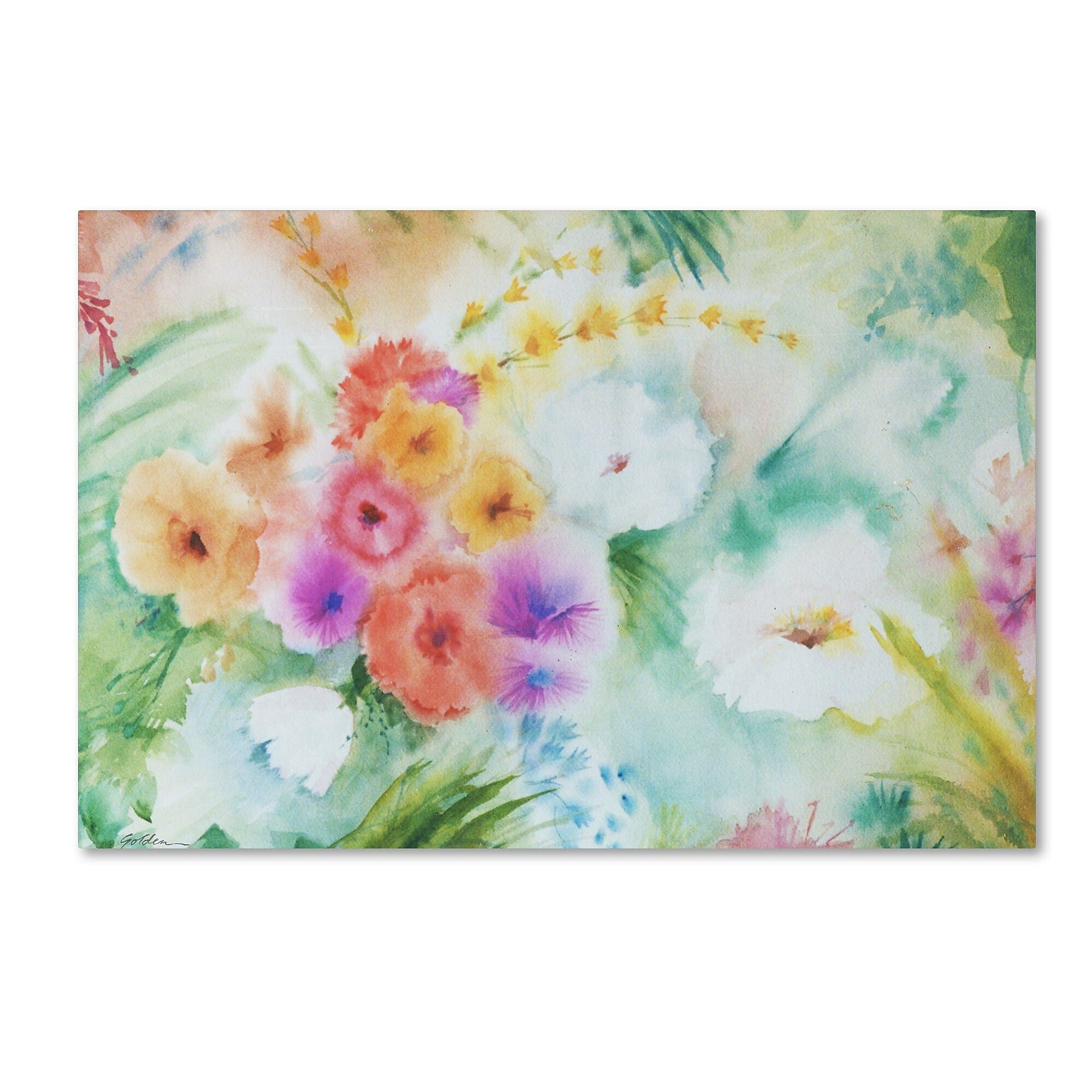 Trademark Fine Art ''Napa Garden'' by Sheila Golden 30" x 47" Canvas Art (SG5736-C3047GG)