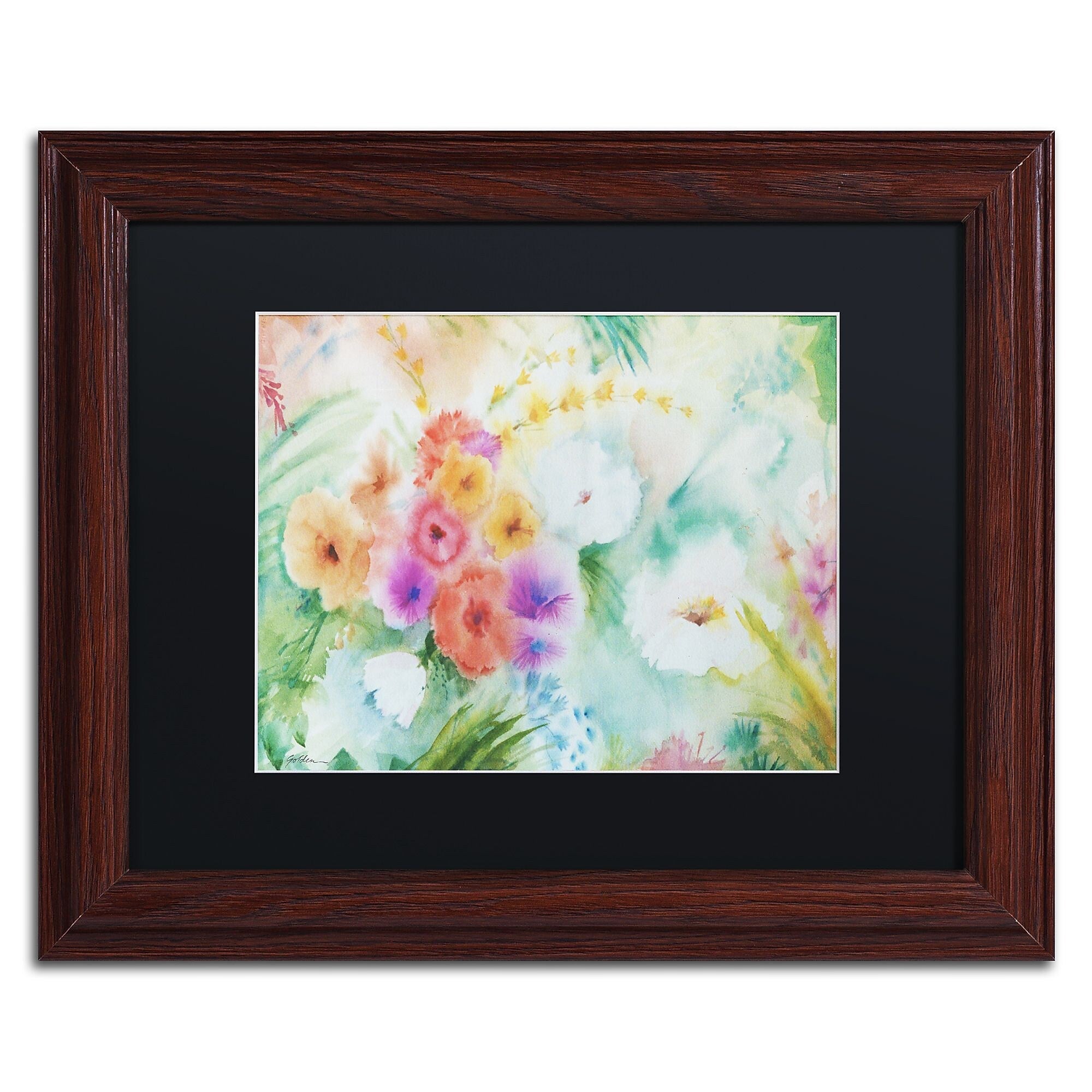 Trademark Fine Art ''Napa Garden'' by Sheila Golden 11" x 14" Black Matted Wood Frame (SG5736-W1114BMF)