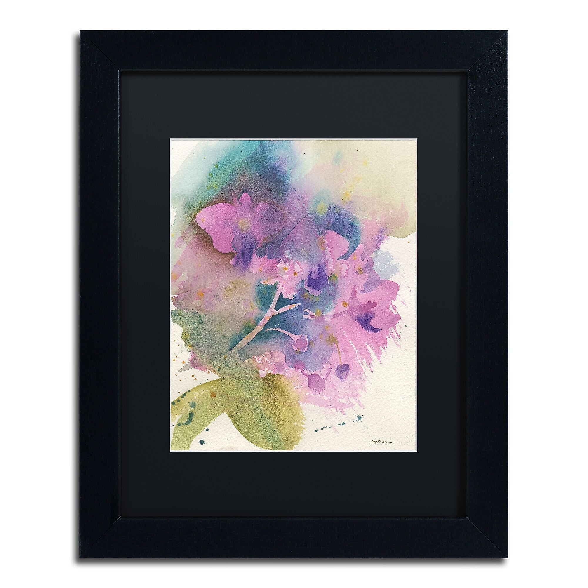 Trademark Fine Art ''Orchid Dream'' by Sheila Golden 11" x 14" Black Matted Black Frame (SG5738-B1114BMF)