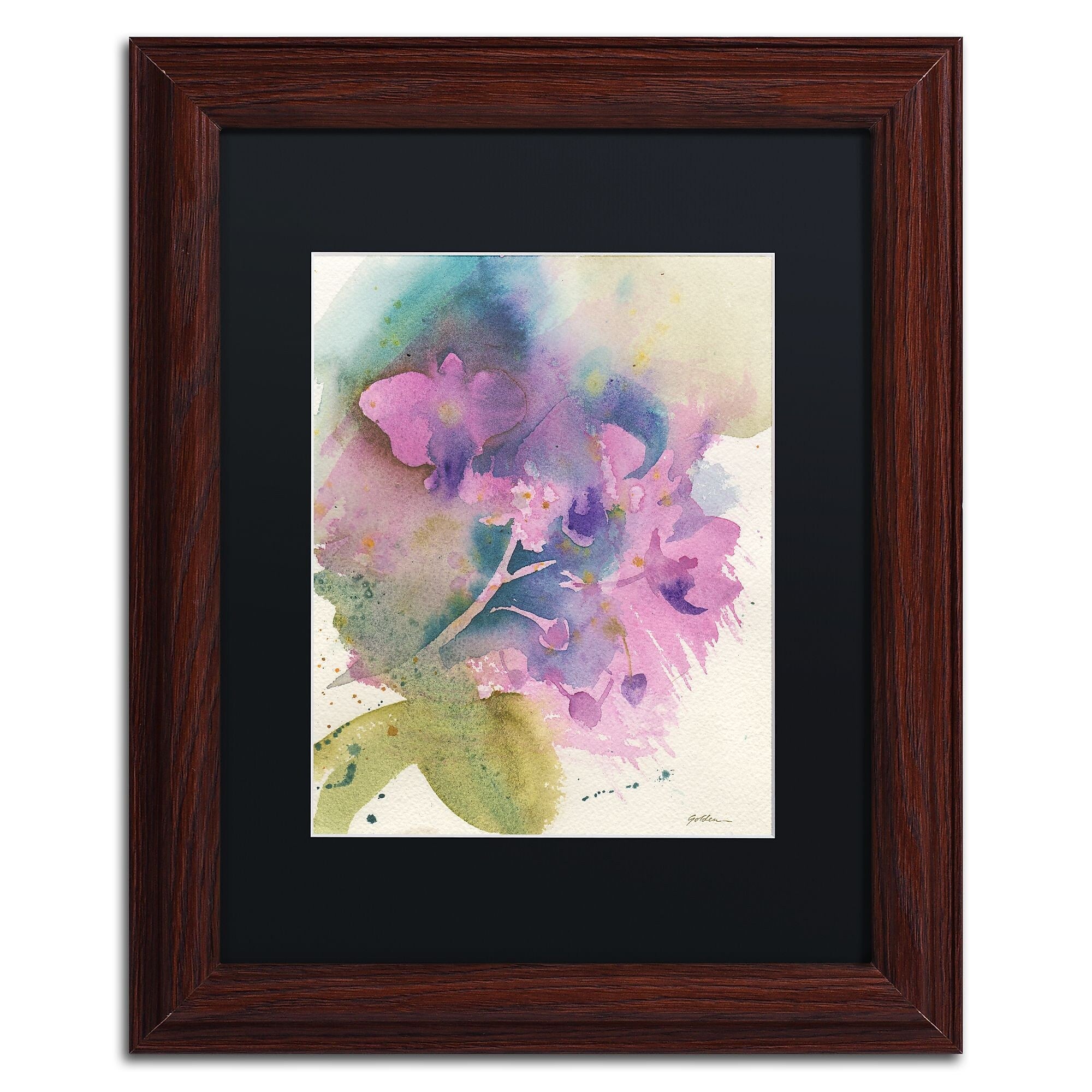 Trademark Fine Art ''Orchid Dream'' by Sheila Golden 11" x 14" Black Matted Wood Frame (SG5738-W1114BMF)