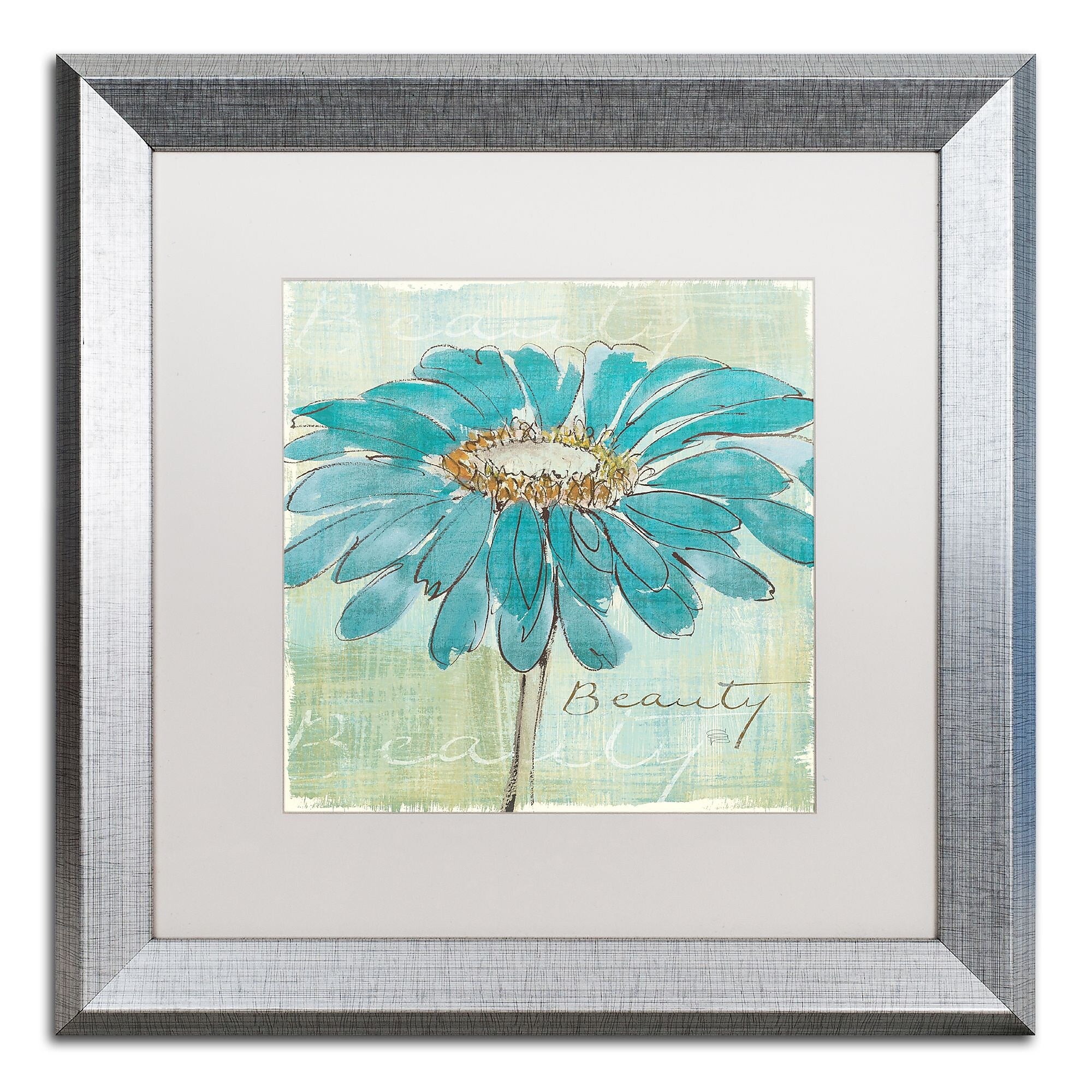 Trademark Fine Art ''Spa Daisies I'' by Chris Paschke 16" x 16" White Matted Silver Frame (WAP0055-S1616MF)