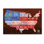 Trademark Fine Art ''USA Flag Map'' by Design Turnpike 16" x 24" Canvas Art (ALI1244-C1624GG)